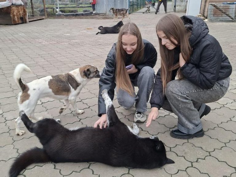 575170188_827735640006131_3232347634112189126_n